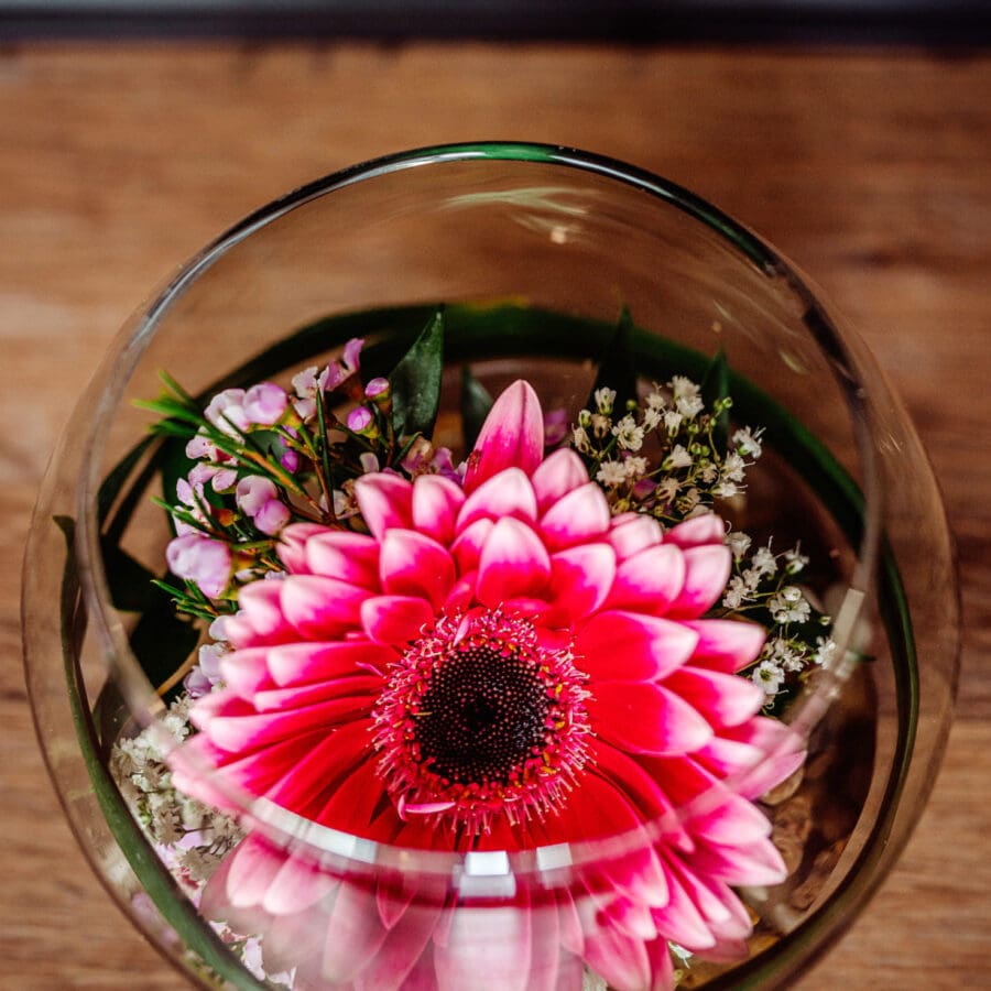 Gerbera Bowl